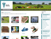 Tablet Screenshot of buyritesolutions.ie